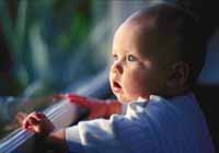 Picture of a baby gazing out the window while holding himself up