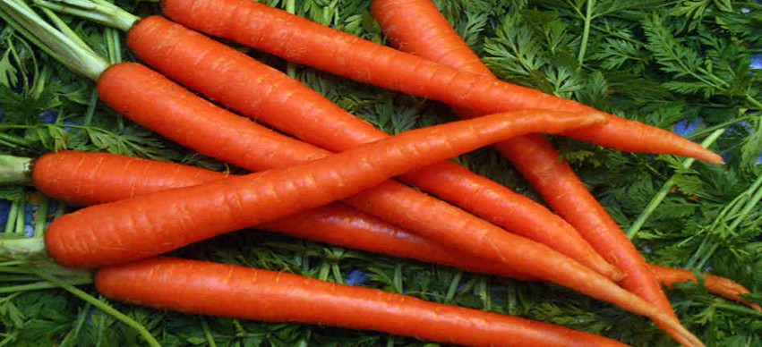 Vitamin A for Women