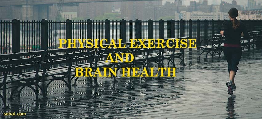 How Does Exercise Help Your Brain