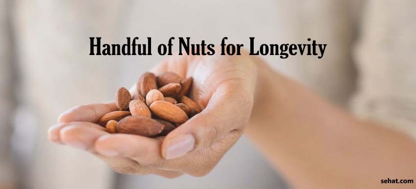 Handful of Nuts for Longevity