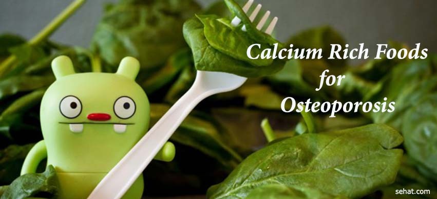 Calcium Rich Foods for Osteoporosis