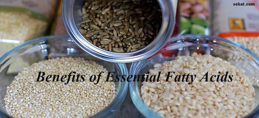 Benefits of Essential Fatty Acids