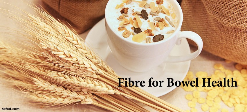 fibre for bowel health