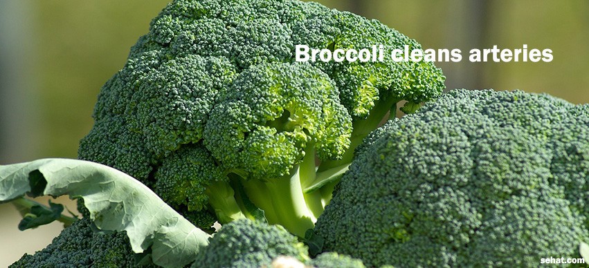 Broccoli cleans arteries