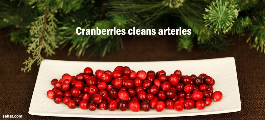 Cranberries cleans arteries