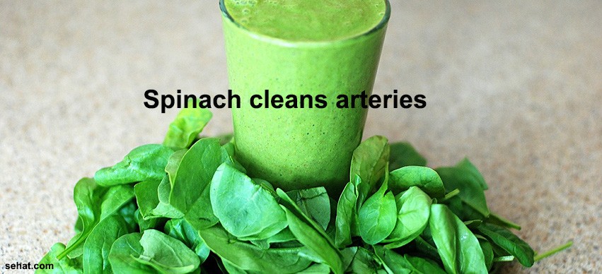 Spinach cleans arteries