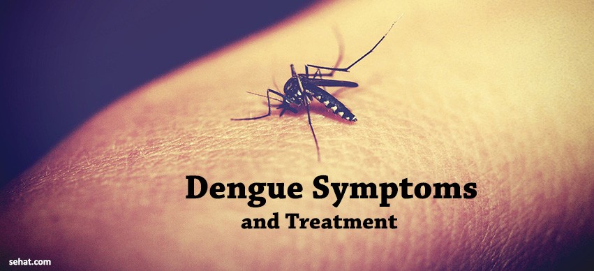 Dengue Symptoms and Treatment