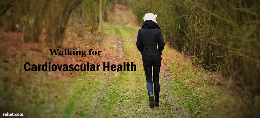 Walking for Cardiovascular Health