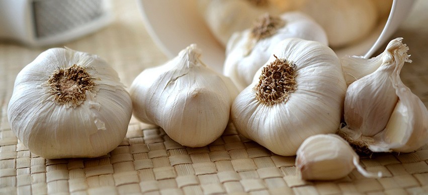 Garlic Healing Properties