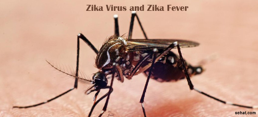 Zika virus and Zika Fever