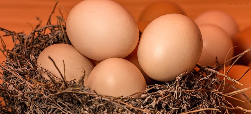 Eggs High in Vitamin B-12