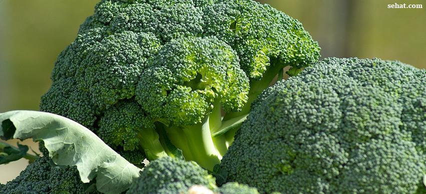 Broccoli is a source of Calcium