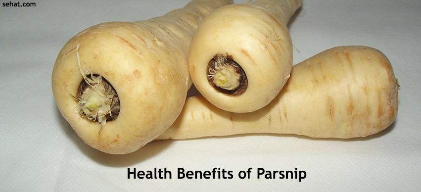 Health Benefits of Parsnip
