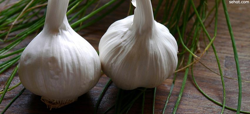 health benefits of garlic