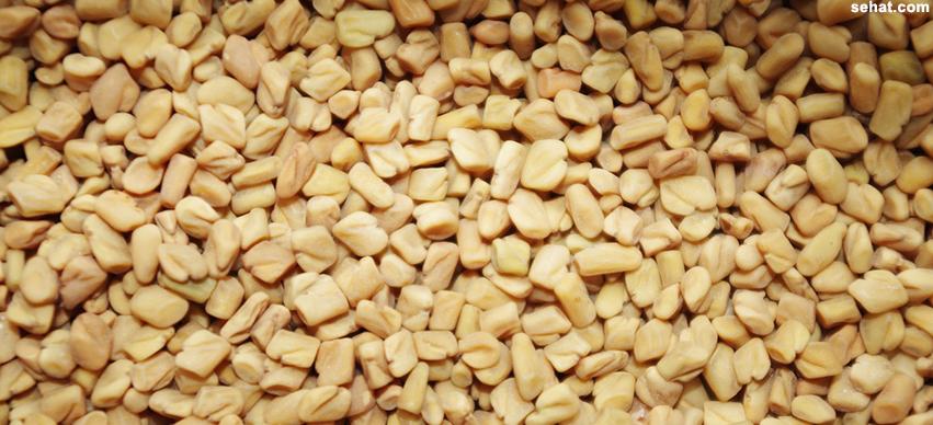 Fenugreek superfood