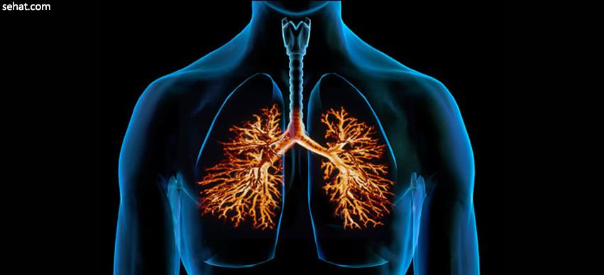 symptoms of Bronchitis