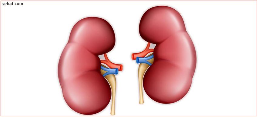 Kidney Failure