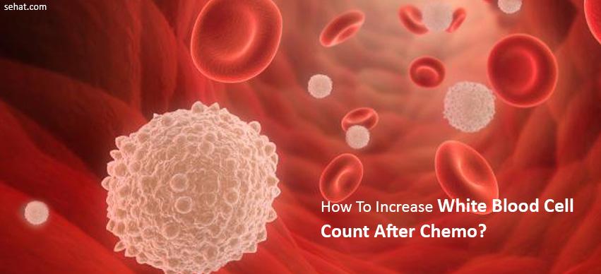 how to increase white blood cell count after chemo