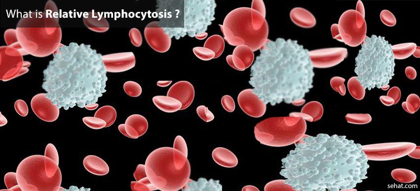 wbc blood test normal range pregnancy