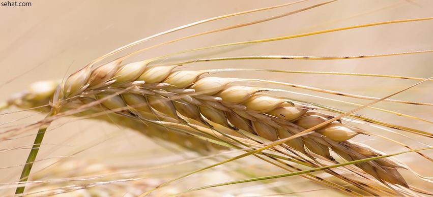 Food That Cause Painful Gas - Barley