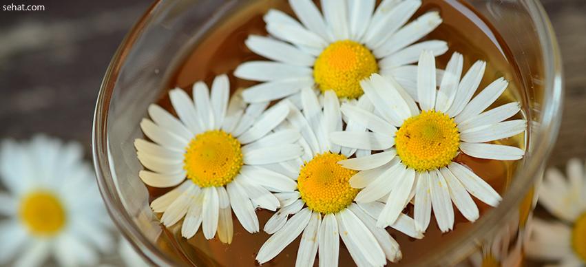 Chamomile-Home remedy for skin itching in summer