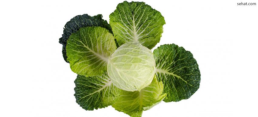 Cabbage is a low calorie food for losing weight