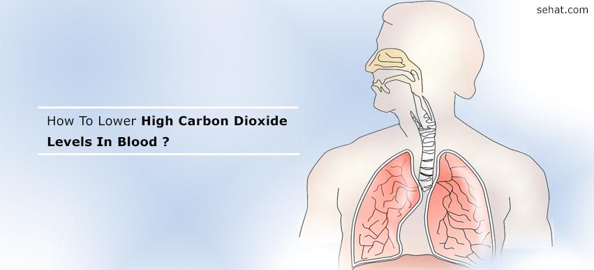 How To Lower High Carbon Dioxide Levels In Blood