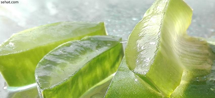 Aloe Vera For Dry Skin And Itchy Symptoms