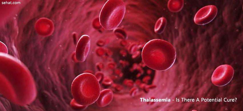 Thalassemia- Is there a potential cure