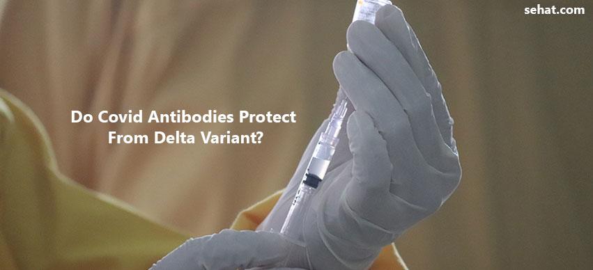 Do Covid Antibodies Protect From Delta Variant