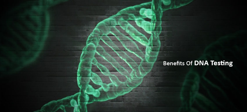 3 Benefits Of A DNA Test