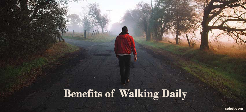 A Daily Walk is The Secret to Adding 7 Years to Your Life