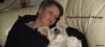 Animal Assisted Therapy: Curing with Love