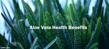 Benefits of Aloe Vera and Aloe Vera Juice