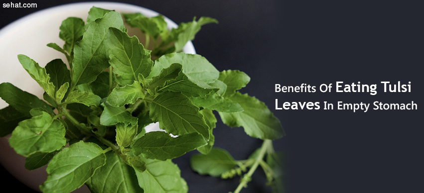 11 Benefits of Eating Tulsi Leaves In Empty Stomach  