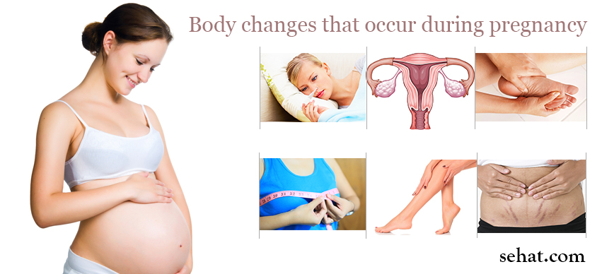 Body Changes that Occur During Pregnancy
