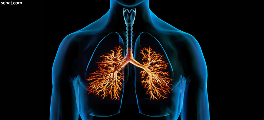 Bronchitis Symptoms and Signs