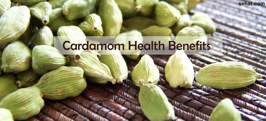 Best Cardamom Health Benefits