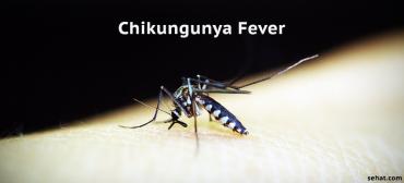 Chikungunya Fever - Symptoms, Diagnosis, & Treatment
