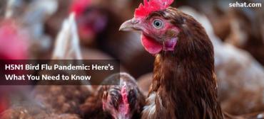 H5N1 Bird Flu Pandemic: Here’s What You Need to Know