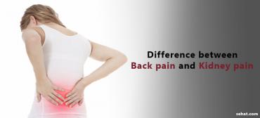 Difference Between Back Pain and Kidney Pain