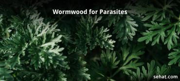 How Long Should I Take Wormwood for Parasites?