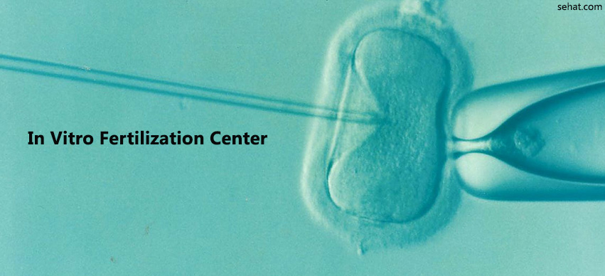 In Vitro Fertilization Center