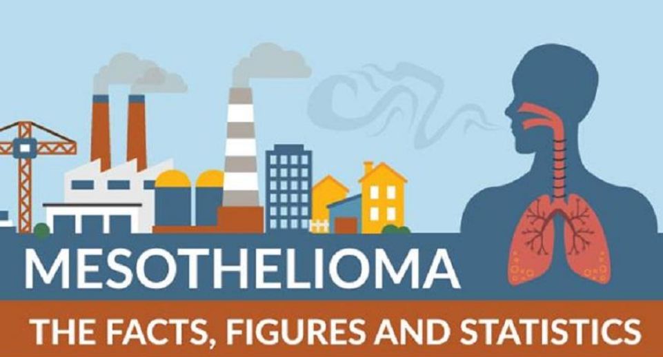 Mesothelioma Facts - Infographic