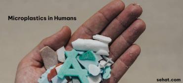 Microplastics in Humans: Understanding the Risks and How to Reduce Them