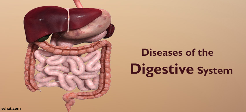 Most Common Diseases of the Digestive System