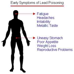 Nutrients That Can Reduce Lead Poisoning