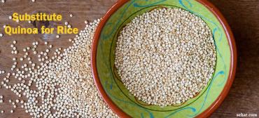 Quinoa: A Substitute for Rice