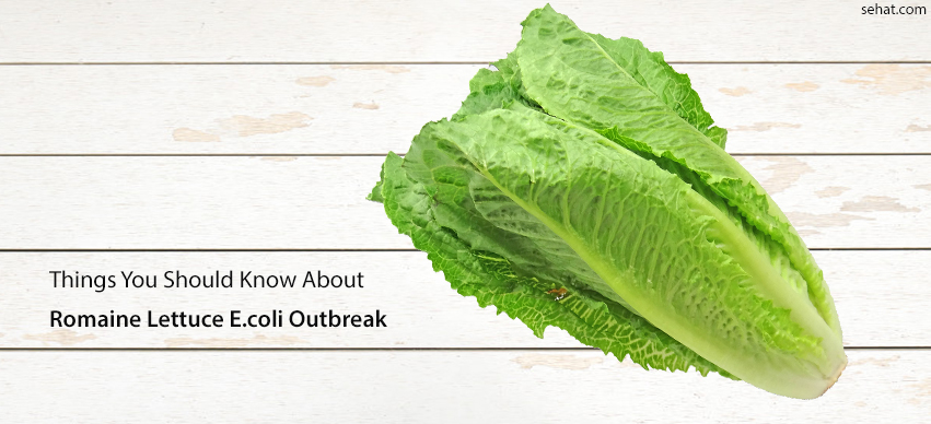 Things You Should Know About The Romaine Lettuce E.coli Outbreak