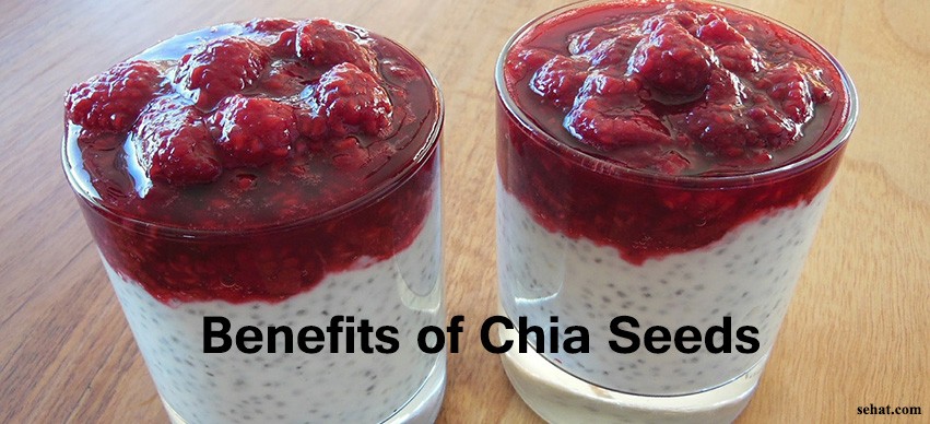 Top 5 Benefits of Chia Seeds